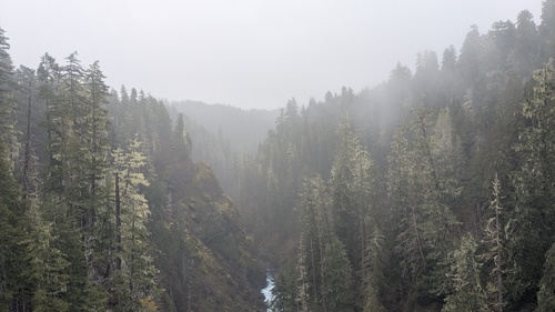 Skokomish River gorge, Skokomish River gorge as seen from the high steel bridge