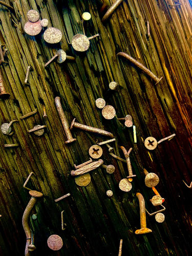 Rusty Nails Splintered Wood, 